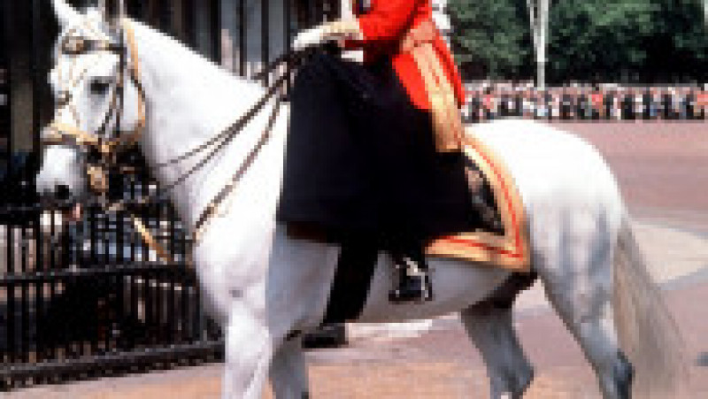 Regina Elisabeta a II-a a cultivat o iubire pentru cai în copilărie, pasiunea a crescut în fiecare an și s-a stins doar odată cu dispariția suveranei. Foto: Profimedia Images | Poza 10 din 27