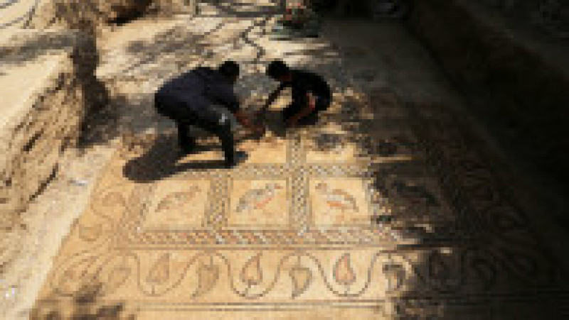 Un fermier palestinian a descoperit un mozaic bizantin în timp ce încerca să planteze un măslin. Foto: Profimedia | Poza 2 din 17