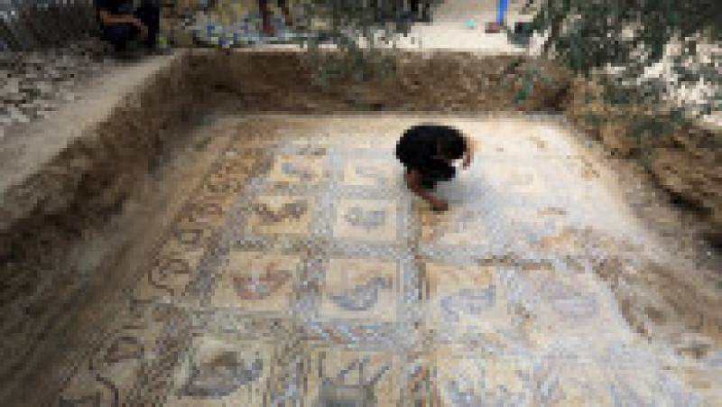 Un fermier palestinian a descoperit un mozaic bizantin în timp ce încerca să planteze un măslin. Foto: Profimedia | Poza 3 din 17