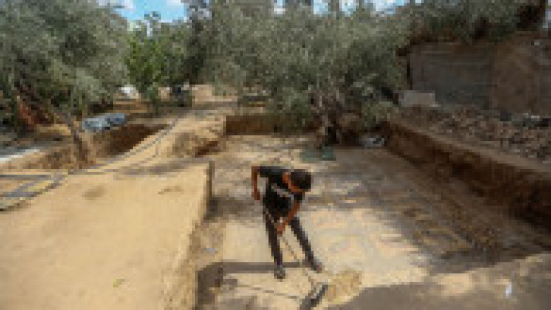 Un fermier palestinian a descoperit un mozaic bizantin în timp ce încerca să planteze un măslin. Foto: Profimedia | Poza 9 din 17