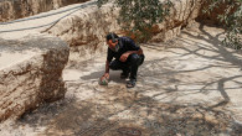 Un fermier palestinian a descoperit un mozaic bizantin în timp ce încerca să planteze un măslin. Foto: Profimedia | Poza 10 din 17