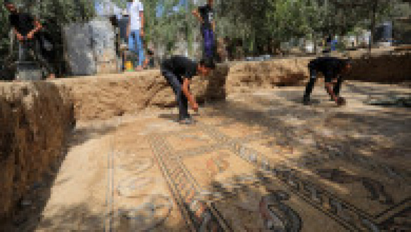 Un fermier palestinian a descoperit un mozaic bizantin în timp ce încerca să planteze un măslin. Foto: Profimedia | Poza 6 din 17