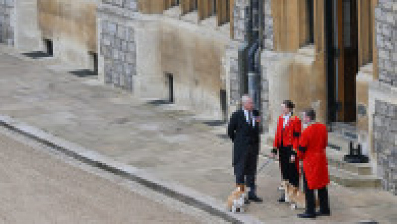 Corgii reginei Elisabeta a II-a au așteptat-o pe suverană la Castelul Windsor, pentru ultima dată. Foto: Profimedia Images | Poza 2 din 15