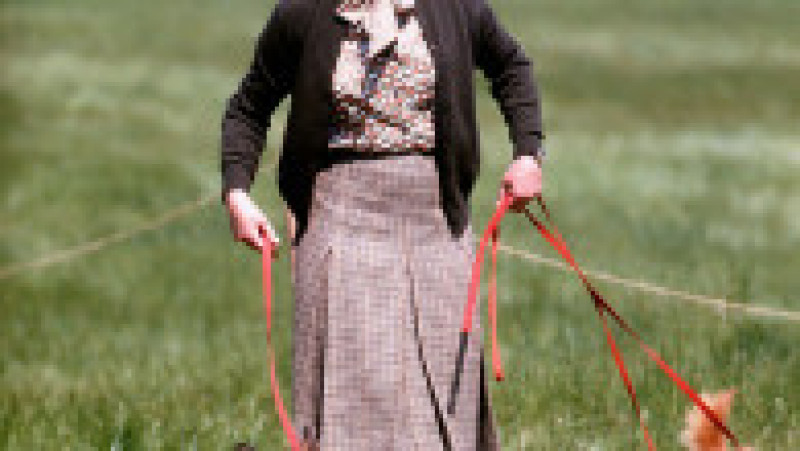 Câinii corgi au fost alături de regina Elisabeta a II-a pe parcursul întregii sale vieți. Foto: Profimedia | Poza 6 din 11
