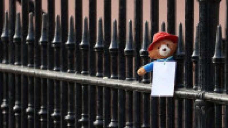 Ursulețul Paddington, un omagiu lăsat de un simpatizant al reginei Elisabeta a II-a pe gardul Palatului Buckingham. Foto: Profimedia | Poza 13 din 13