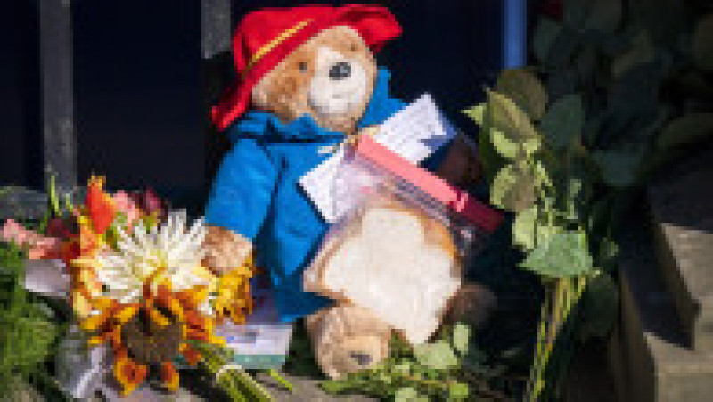 Ursulețul Paddington, flori, mesaje de rămas bun - sunt omagii lăsate de simpatizanții reginei Elisabeta a II-a, care au venit să prezinte un ultim respect fostei suverane. Foto: Profimedia | Poza 7 din 13