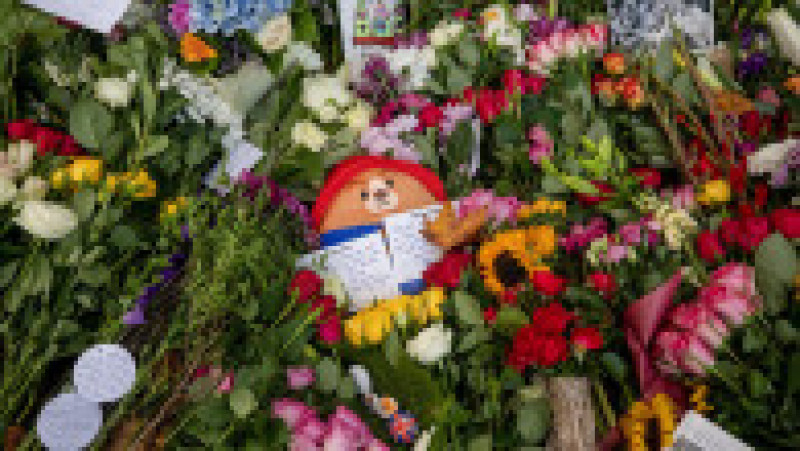 Ursulețul Paddington, flori, mesaje de rămas bun - sunt omagii lăsate de simpatizanții reginei Elisabeta a II-a, care au venit să prezinte un ultim respect fostei suverane. Foto: Profimedia | Poza 10 din 13