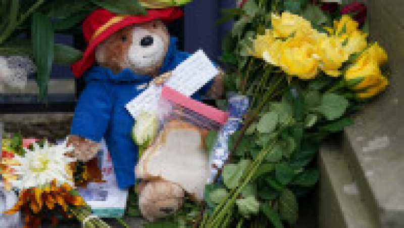 Ursulețul Paddington, flori, mesaje de rămas bun - sunt omagii lăsate de simpatizanții reginei Elisabeta a II-a, care au venit să prezinte un ultim respect fostei suverane. Foto: Profimedia | Poza 11 din 13