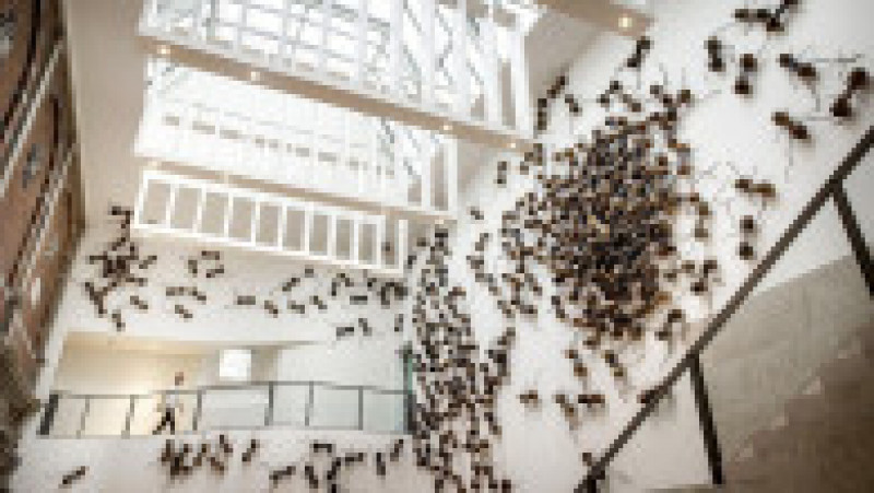 Vizitatorii unui muzeu din Amsterdam sunt întâmpinați de păianjeni, furnici și gândaci. Foto: Profimedia | Poza 3 din 10