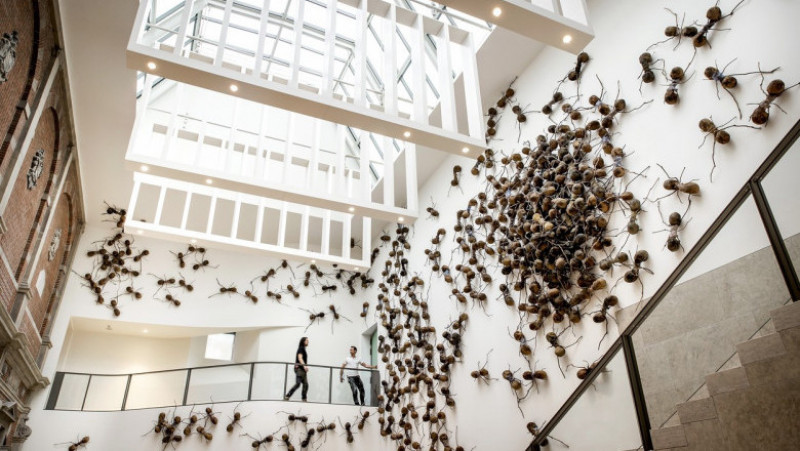 Vizitatorii unui muzeu din Amsterdam sunt întâmpinați de păianjeni, furnici și gândaci. Foto: Profimedia