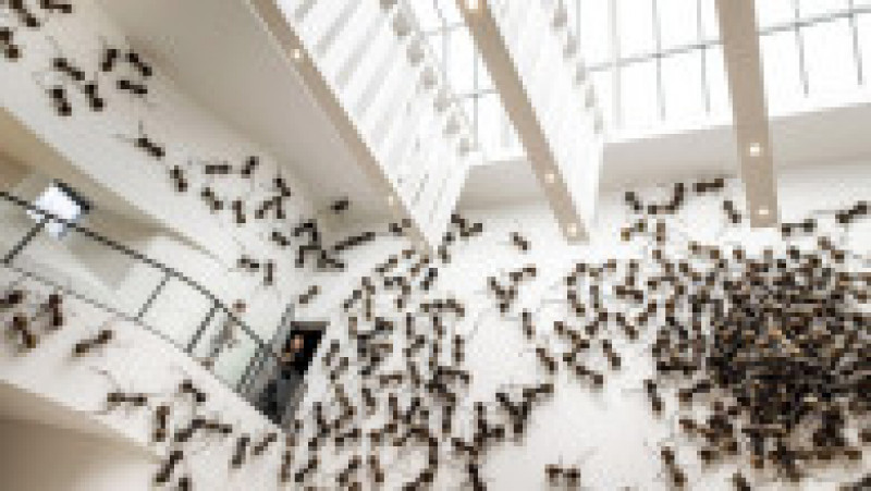 Vizitatorii unui muzeu din Amsterdam sunt întâmpinați de păianjeni, furnici și gândaci. Foto: Profimedia | Poza 5 din 10