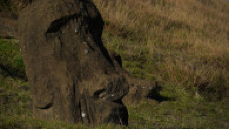 Incendiile din Insula Paștelui au produs "daune ireparabile" faimoaselor statui uriașe moai. Sursa foto: Profimedia Images | Poza 13 din 14