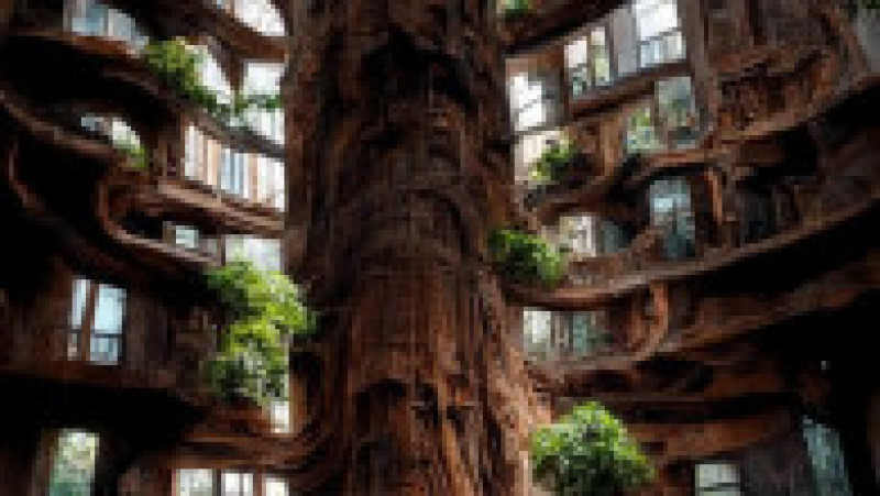 Cum ar putea arăta orașele viitorului. FOTO: Instagram Manas Bhatia | Poza 17 din 17