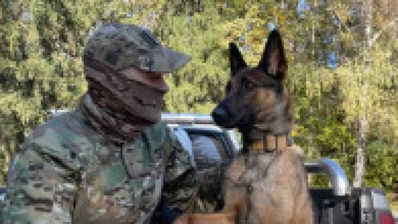 Un luptător de la Azovstal și-a regăsit după jumătate de an câinele pe care l-a crezut mort. FOTO: Captură Youtube | Poza 3 din 8