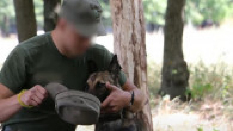 Un luptător de la Azovstal și-a regăsit după jumătate de an câinele pe care l-a crezut mort. FOTO: Captură Youtube | Poza 5 din 8