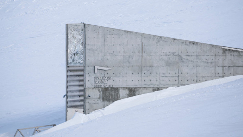 Aspectul de portal către altă lume i-a adus celebritate construcției din îndepărtatul arhipelag Svalbard. Foto: Profimedia
