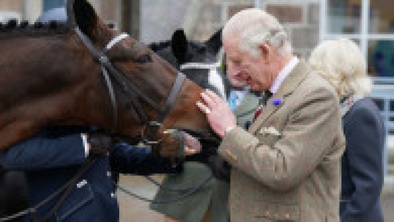 Regele Charles vinde 14 dintre caii de curse ai Reginei Elisabeta a II-a. Sursa foto: Profimedia Images | Poza 5 din 10