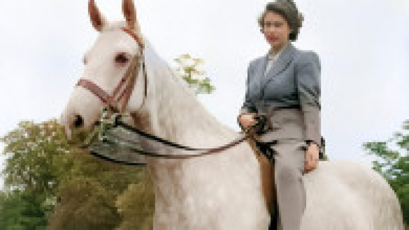 Regele Charles vinde 14 dintre caii de curse ai Reginei Elisabeta a II-a. Sursa foto: Profimedia Images | Poza 4 din 10