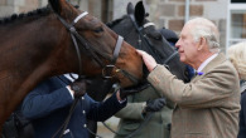 Regele Charles vinde 14 dintre caii de curse ai Reginei Elisabeta a II-a. Sursa foto: Profimedia Images | Poza 1 din 10