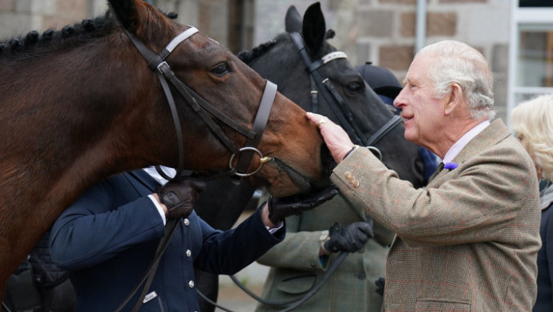 Regele Charles vinde 14 dintre caii de curse ai Reginei Elisabeta a II-a. Sursa foto: Profimedia Images