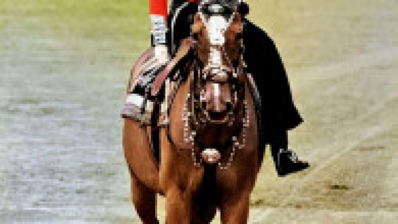Regele Charles vinde 14 dintre caii de curse ai Reginei Elisabeta a II-a. Sursa foto: Profimedia Images | Poza 8 din 10