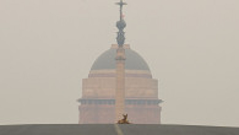 Potrivit unui raport IQAir din 2020, 22 dintre cele mai poluate 30 de oraşe din lume se află în India. Foto: Profimedia Images | Poza 1 din 11