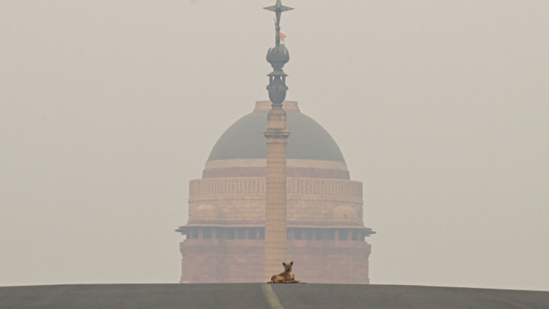 Potrivit unui raport IQAir din 2020, 22 dintre cele mai poluate 30 de oraşe din lume se află în India. Foto: Profimedia Images