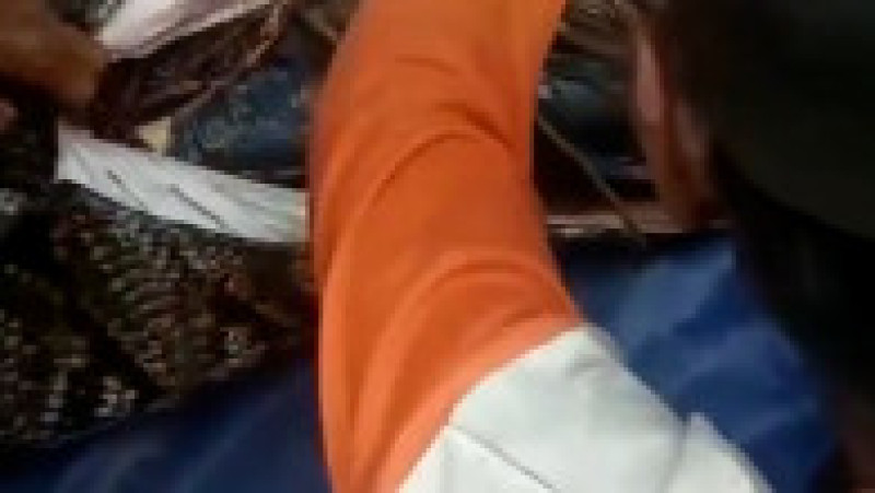 O femeie din Indonezia a fost înghițită cu totul de un piton FOTO: Profimedia Images | Poza 7 din 15