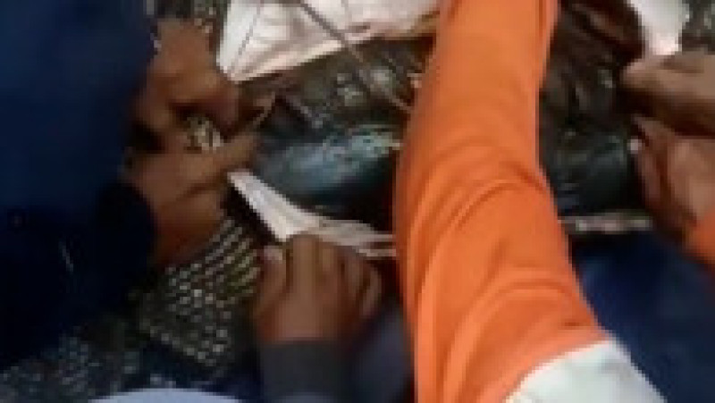 O femeie din Indonezia a fost înghițită cu totul de un piton FOTO: Profimedia Images | Poza 13 din 15