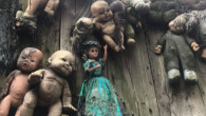 Pe bizara insulă Xochimilco nu mai locuiește niciun om. Sunt doar păpuși. FOTO: Profimedia Images | Poza 1 din 9