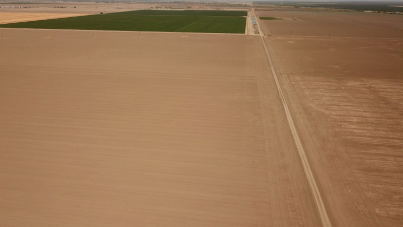 Lipsa irigațiilor și schimbările climatice au distrus culturi din California, în regiunea Central Valley, considerată „grânarul” Statelor Unite. Foto Profimedia