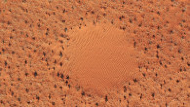 „Cercul este cea mai logică formă geometrică pe care o poți crea dacă ești o plantă care suferă de pe urma lipsei de apă”, a explicat Getzin. Foto: Profimedia Images | Poza 11 din 13