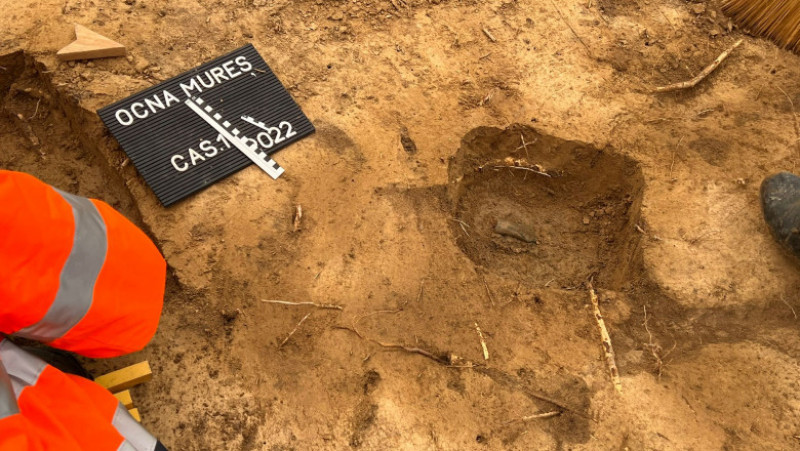 Topoare și o uneltă vechi de 3.000 de ani au fost descoperite într-o pădure de lângă Ocna Mureș. Sursa foto: Kolosvari Csaba / Facebook