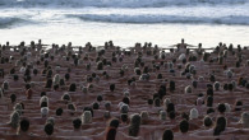 Mii de australieni au pozat nud pe o plajă din Sydney. FOTO: Profimedia Images | Poza 4 din 7