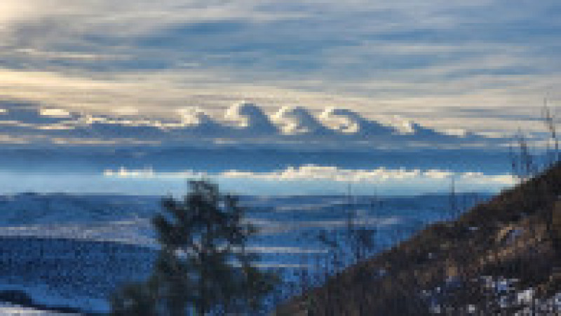 Sursa foto: Rachel Gordon/Facebook | Poza 1 din 5