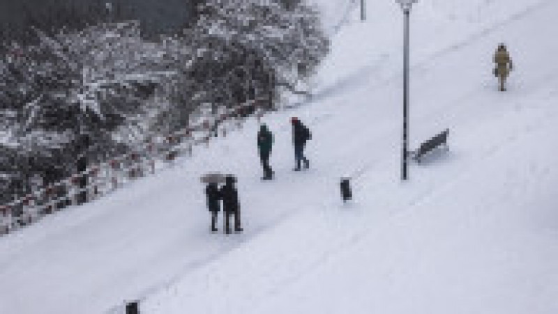 Zăpada a afectat și Polonia, iar transportul public a fost blocat. FOTO: Profimedia Images | Poza 3 din 19