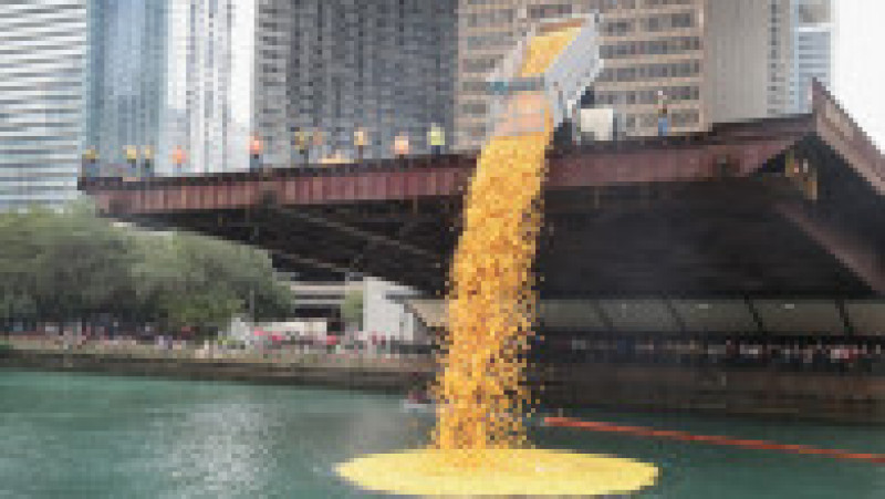 Rățuște de cauciuc aruncate în apă în timpul unui festival în Chicago. Foto: Profimedia | Poza 4 din 16