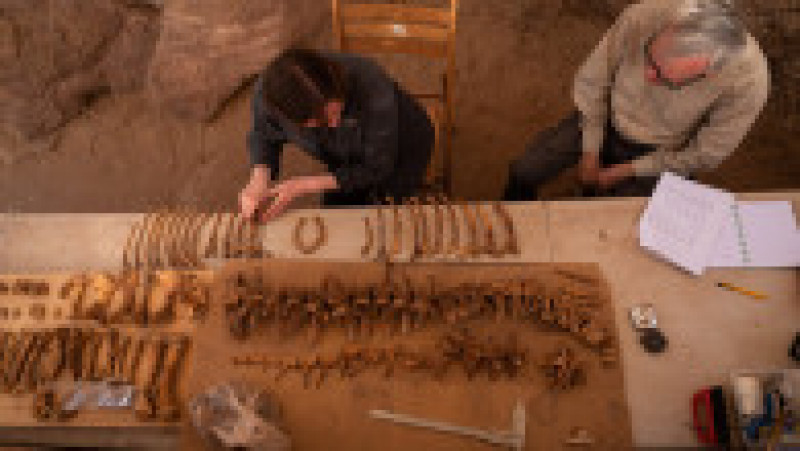 Mumiile a 10 crocodili adulți au fost descoperite recent într-un mormânt din zona Qubbat al-Hawa din Egipt. Sursa foto: Profimedia Images | Poza 1 din 12
