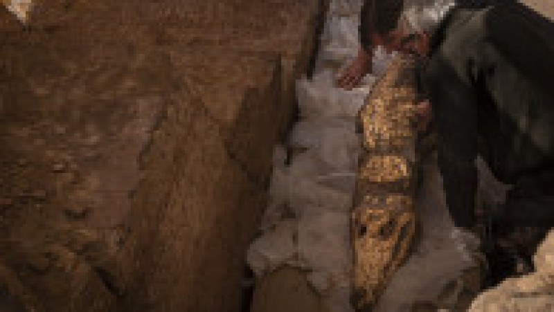 Mumiile a 10 crocodili adulți au fost descoperite recent într-un mormânt din zona Qubbat al-Hawa din Egipt. Sursa foto: Profimedia Images | Poza 11 din 12