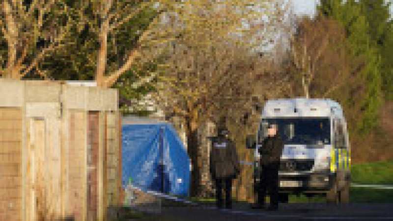 
O fetiță de patru ani din Marea Britanie a fost ucisă de un câine în timp ce se juca în curte. Sursa foto: Profimedia Images | Poza 4 din 15