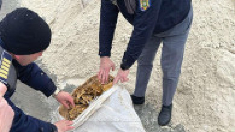 Sursa foto: Poliția de Frontieră | Poza 7 din 7