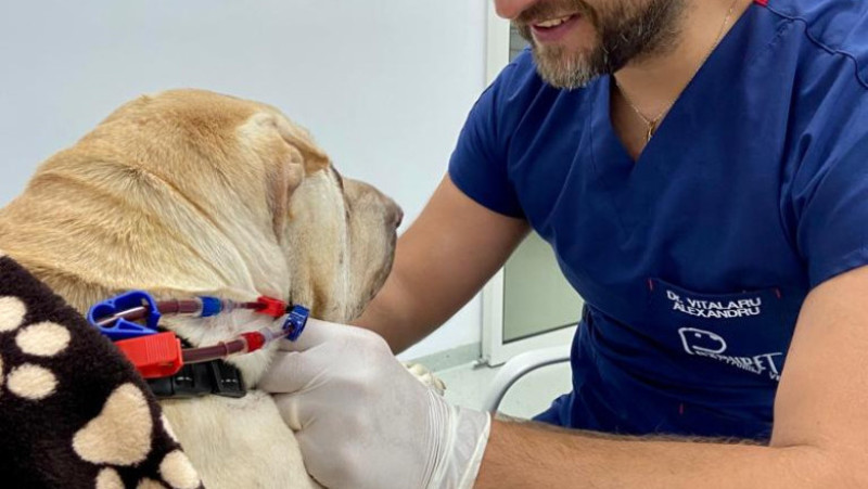 WhatsApp Image 2023-02-09 at 18.04.19