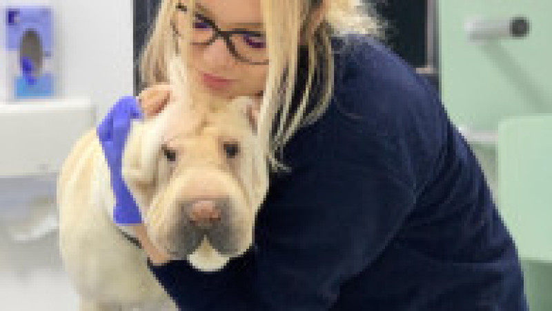 WhatsApp Image 2023-02-09 at 18.04.21 | Poza 10 din 11