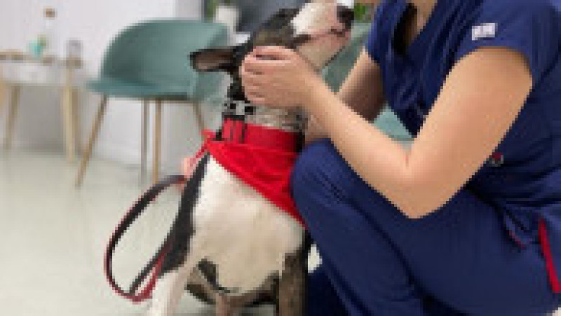 WhatsApp Image 2023-02-09 at 18.04.20 (7) | Poza 7 din 11