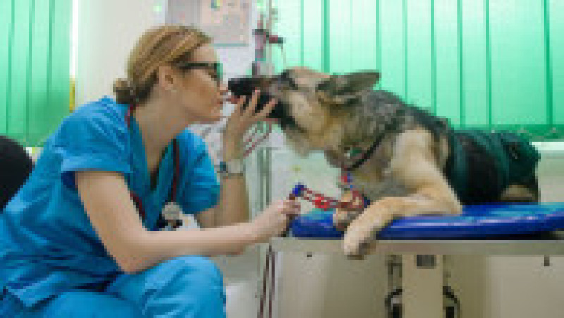 Main Photo_Patrupet | Poza 11 din 11