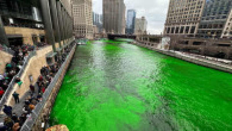 Râul care traversează Chicago a devenit verde. FOTO: Profimedia Images | Poza 6 din 8
