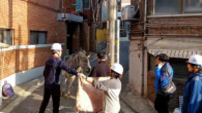 Aventura sa curajoasă pe străzile aglomerate din Seul l-a transformat pe Sero într-o vedetă pe internet. Foto: Profimedia Images | Poza 5 din 5