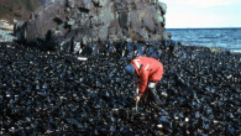 În urmă cu 33 de ani a avut loc naufragiul Exxon Valdez, unul dintre cele mai grave dezastre ecologice din istorie. Sursa foto: Profimedia Images | Poza 12 din 25