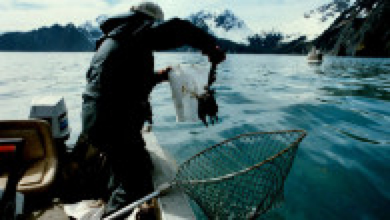 În urmă cu 33 de ani a avut loc naufragiul Exxon Valdez, unul dintre cele mai grave dezastre ecologice din istorie. Sursa foto: Profimedia Images | Poza 24 din 25