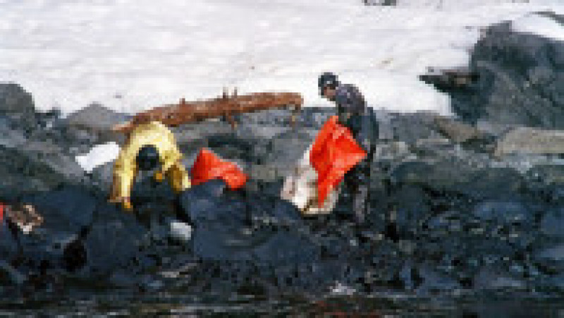 În urmă cu 33 de ani a avut loc naufragiul Exxon Valdez, unul dintre cele mai grave dezastre ecologice din istorie. Sursa foto: Profimedia Images | Poza 22 din 25